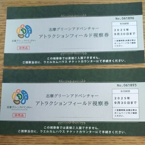 志摩グリーンアドベンチャーアトラクションフィールド視察券 2枚セット