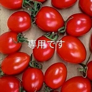 専用です ジャージ