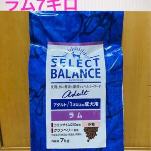 セレクトバランス アダルト ラム 小粒 1才以上 成犬用 7キロ