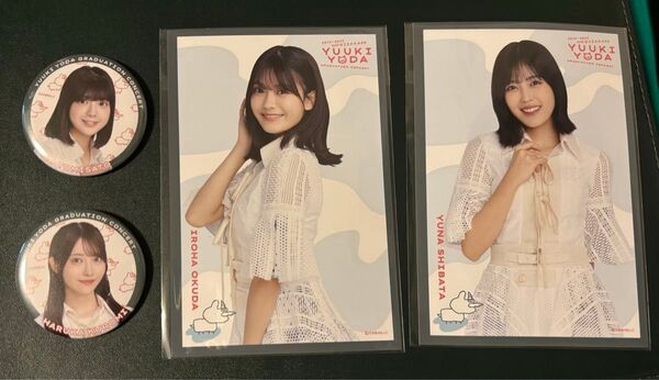 乃木坂46 与田祐希 卒業コンサート 黒見明香 冨里奈央 ランダム缶バッジ 奥田いろは 柴田柚菜 ポストカード まとめ売り