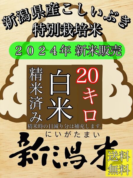精米済み 20キロ 【農家直送!】新潟県産こしいぶき 特別栽培米 6年産 低温冷蔵