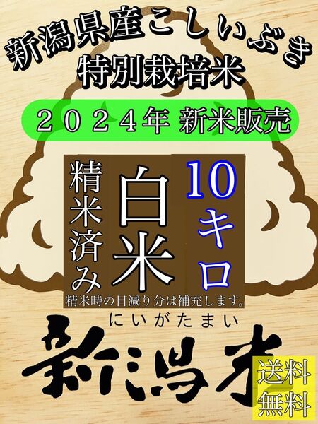 精米済み 10キロ【農家直送!】新潟県産こしいぶき 特別栽培米 6年産 低温冷蔵