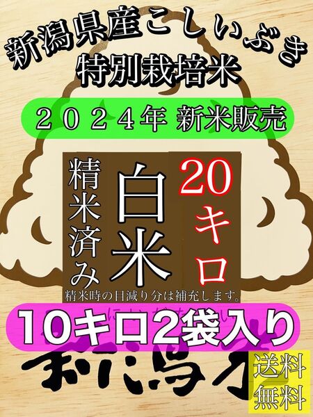 精米済み 10キロ2袋入り 【農家直送!】新潟県産こしいぶき 特別栽培米 6年産 低温冷蔵