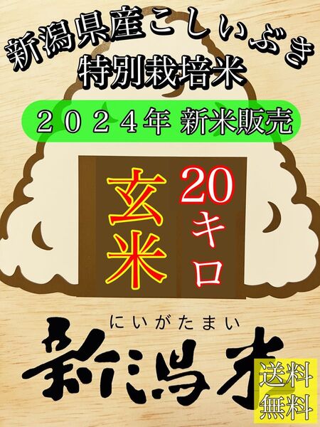 玄米20キロ【農家直送!】新潟県産こしいぶき 特別栽培米 2024年産 6年産 低温冷蔵貯蔵