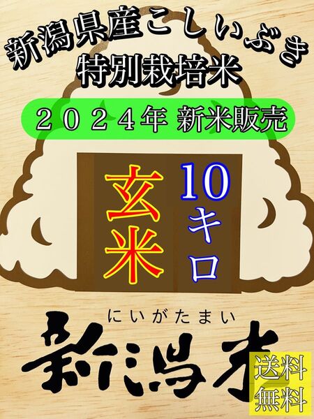 玄米10キロ【農家直送!】新潟県産こしいぶき 特別栽培米 6年産 低温冷蔵貯蔵