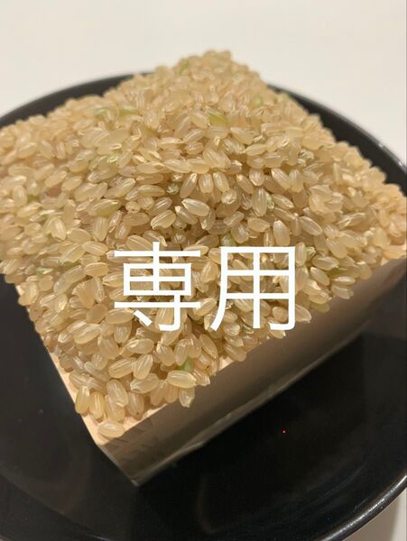 玄米5キロ2袋【農家直送!】新潟県産こしいぶき 特別栽培米 6年産 低温冷蔵貯蔵