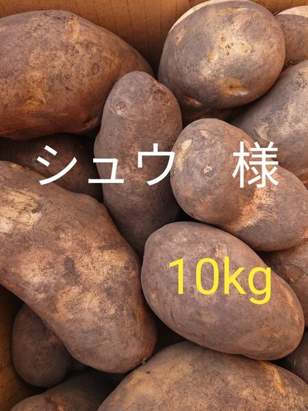 北海道十勝産メークイン(じゃがいも)