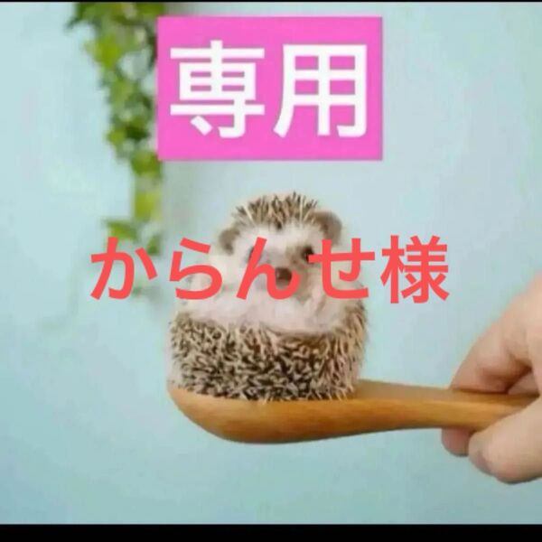 2点、ニュイ、プレミエ