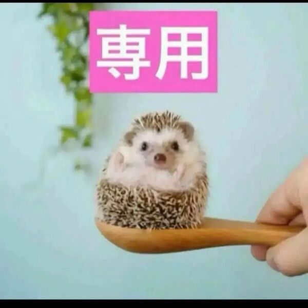 2点、ハンドクリーム
