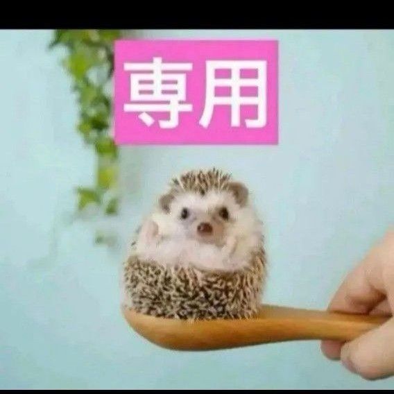 2点、ヒアルショット