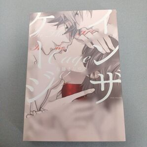 インザゲージ 左藤さなゆき著書