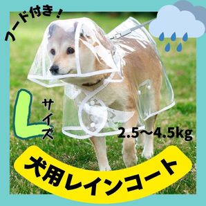 レインコート 犬用 ポンチョ 小型犬 透明 カッパ 犬 耐水 雨具 ペット L 犬 ペット