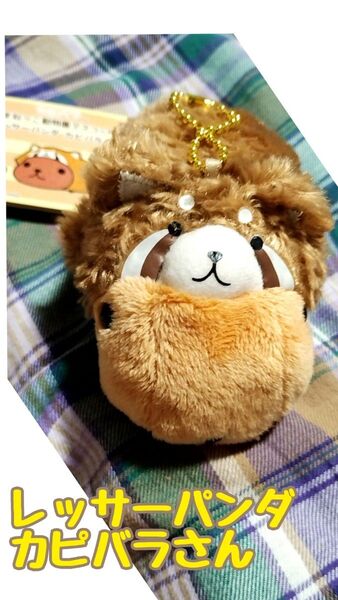 レッサーパンダ カピバラさん マスコット ぬいぐるみ