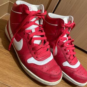 NIKE ナイキ TERMINATOR HIGH BASIC QS レッド