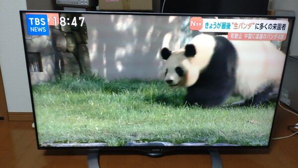 SHARP 45インチ 液晶テレビ 2017