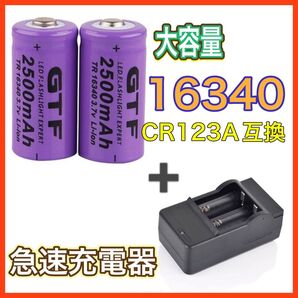 6本と充電器セット
