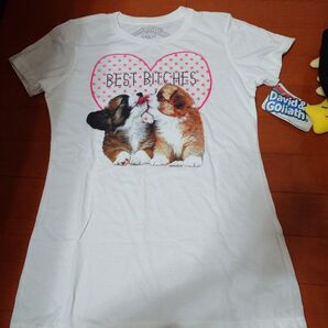 David&GoliathのTシャツ