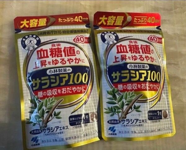 小林製薬 サラシア100 60粒 40日分 2袋
