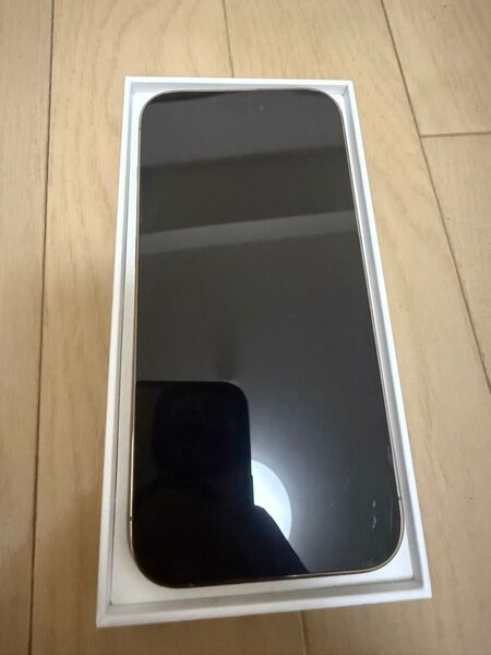 iPhone14 pro 256GB ゴールド MQ173J/A