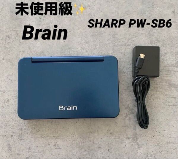 未使用級SHARP Brain 電子辞書 本体、充電器 シャープ ブレイン カラー電子辞書