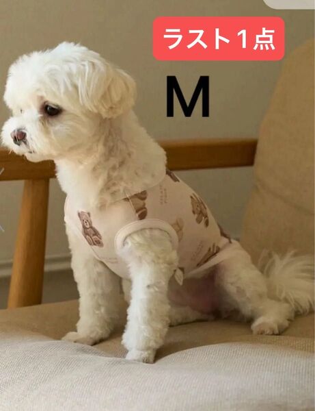 GELATO PIQUE CAT&DOG ベア柄プルオーバー ジェラピケ ジェラートピケ 犬服 猫服 M ピンク