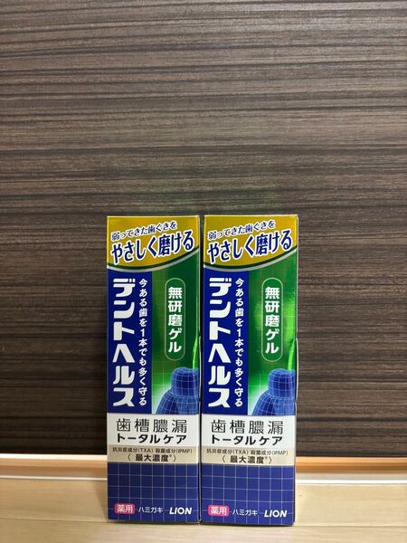 ライオン デントヘルス 薬用歯磨き粉 無研磨ゲル 85g 2個