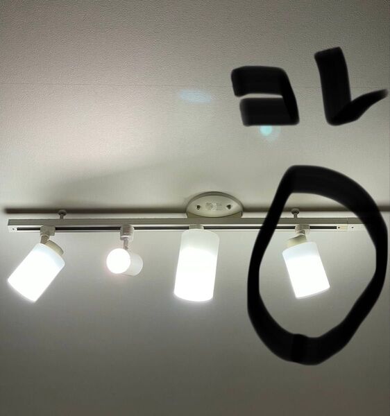 送料無料 ○ 大光電機 ガラス製 ダクトレール スポットライト ライト