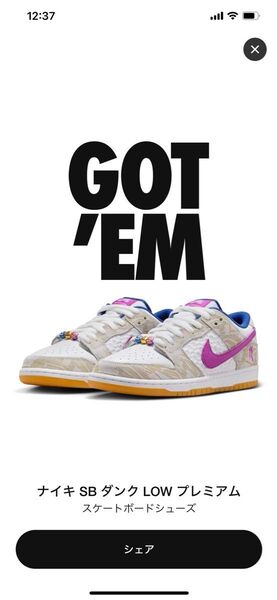 送料無料 ライッサ・レアウ × NIKE SB DUNK LOW PRM ピュアプラチナム アンド ヴィヴィッドパープル 30cm