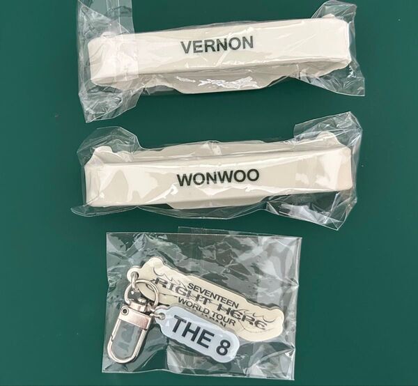 SEVENTEEN ラバーバンド キーホルダー ウォヌ バーノン ミョンホ