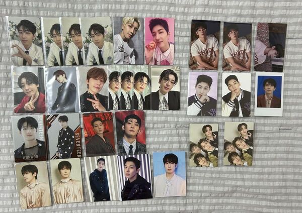 SEVENTEEN ウォヌ まとめ売り