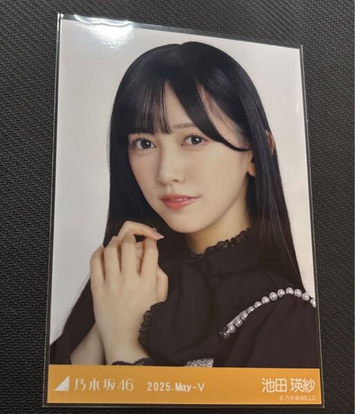 乃木坂46 池田瑛紗 ビッグボウタイブラウス ヨリ 生写真