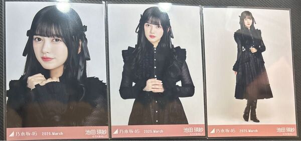 乃木坂46 生写真 スペシャル衣装45 池田瑛紗 コンプ