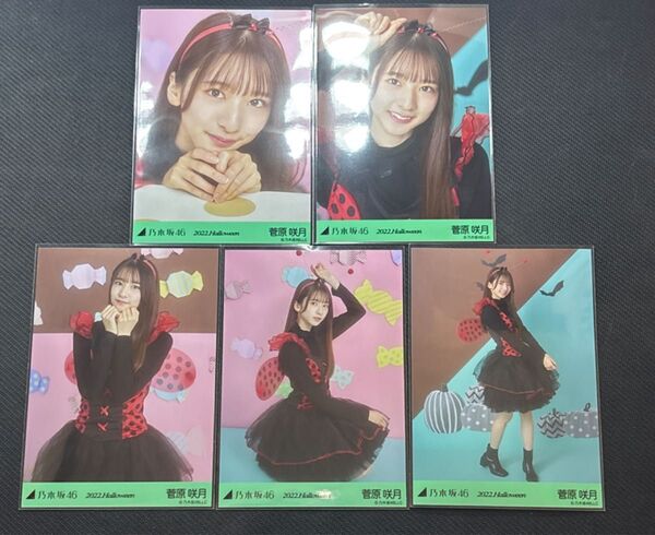 乃木坂46 菅原咲月 2022ハロウィン 生写真コンプ