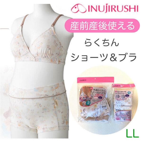 犬印 マタニティショーツ らくちんショーツ&快適らくちんモールドブラ LL