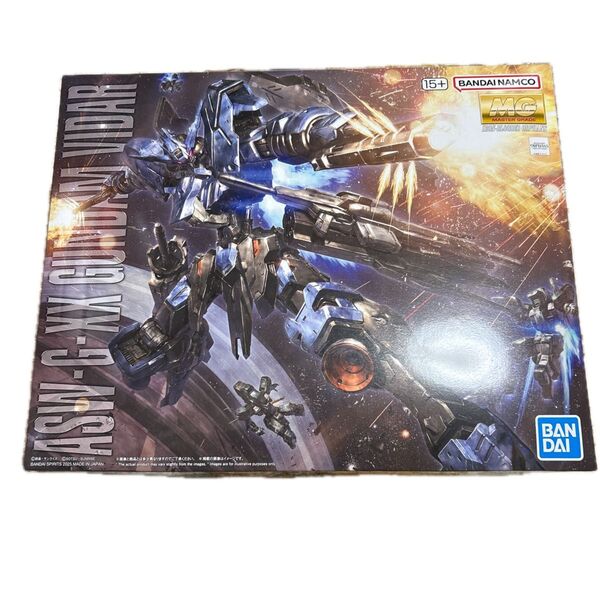 MG 1/100 ガンダムヴィダール