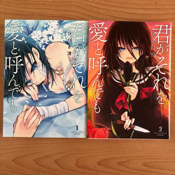 君がそれを愛と呼んでも 1巻2巻 (コミックアウル) ひびき澪/著