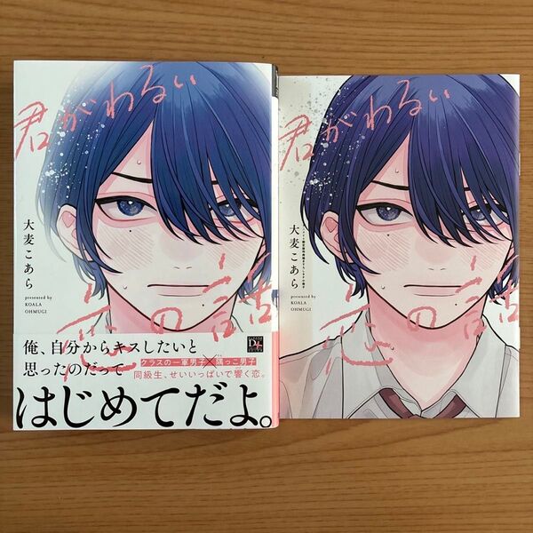 君がわるい恋の話 大麦こあら 小冊子付き