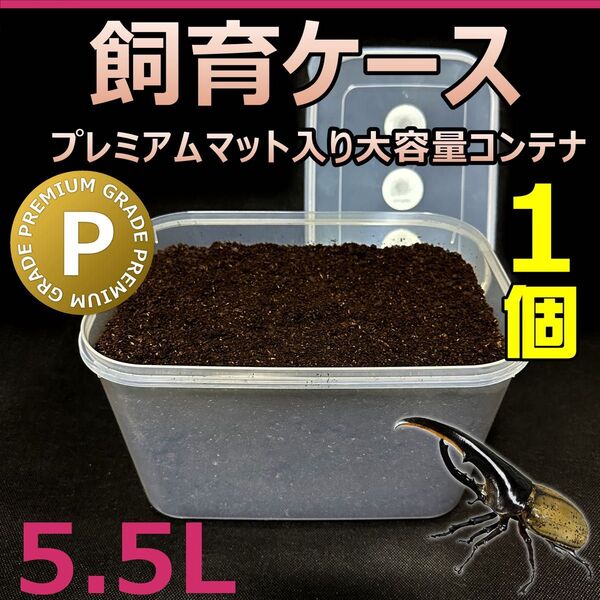 飼育ケース 大容量コンテナ 5.5L プレミアムマット付き 1個 国産 外国産カブトムシ 幼虫飼育に最適! おまけ付!!