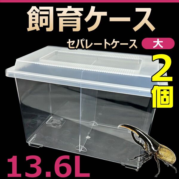 飼育ケース セパレートケース 大 13.6L 新品 2個 カブトムシ・クワガタ 成虫飼育に最適 コバエ抑制 虫かご 昆虫 飼育容器
