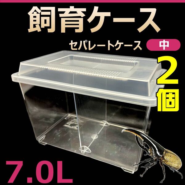 飼育ケース セパレートケース 中 7.0L 新品 2個 カブトムシ・クワガタ 成虫飼育に最適 コバエ抑制 虫かご 昆虫 飼育容器