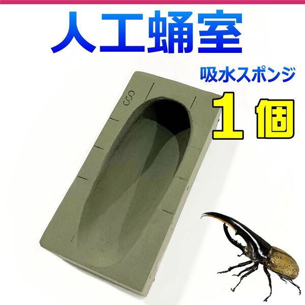 人工蛹室 吸水スポンジ 1個 外国産カブトムシ・ヘラクレスオオカブトに最適!! サタンオオカブト・ネプチューンオオカブトにも!