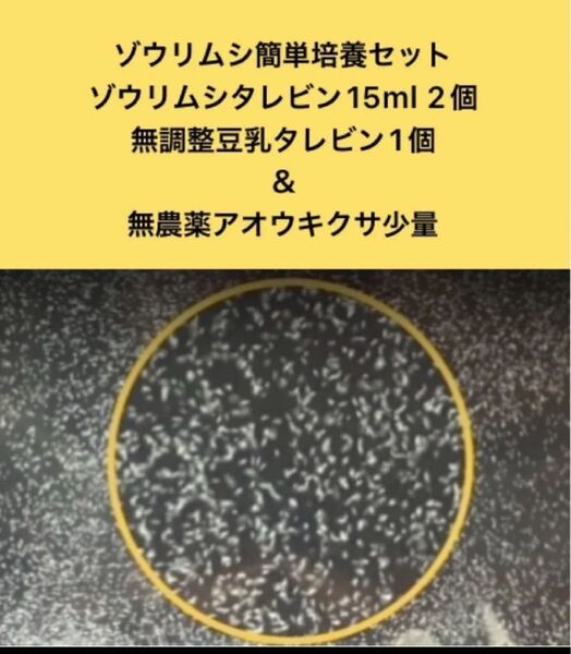 ゾウリムシ簡単培養セットゾウリムシタレビン15ml 2個無調整豆乳タレビン1個アオウキクサ少量(おまけアマゾンフロックピット少量)