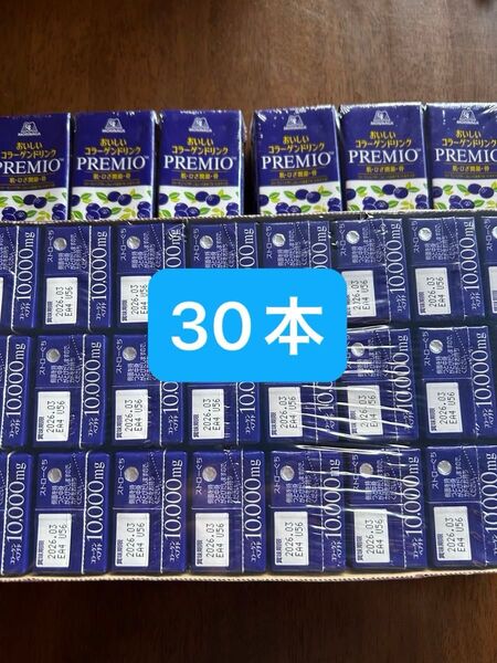 森永 おいしいコラーゲンドリンク プレミオ 30本