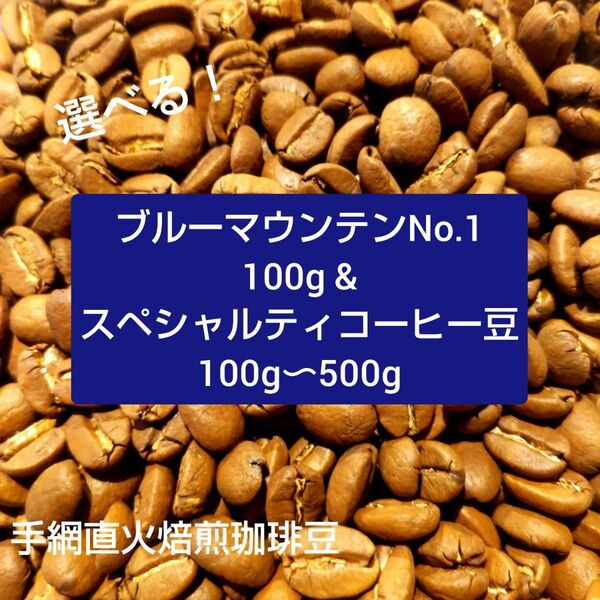 選べる!手網直火焙煎珈琲豆ブルーマウンテン100gとスペシャルティコーヒー豆100g〜500g