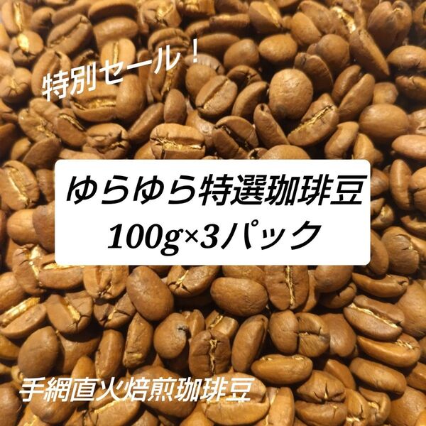 手網直火焙煎珈琲豆100g×3パック