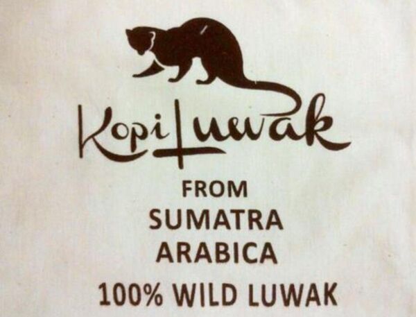 手網直火焙煎珈琲豆 インドネシア コピ ルアック100g