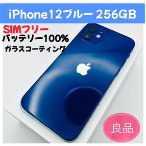 iPhone12ブルー256gb SIMフリー