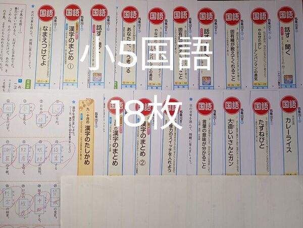 小学5年生 国語 カラーテスト 小学校テスト 小5