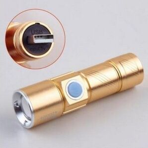ホルダー付き☆サイクリング &アウトドア USB充電 懐中電灯 led 強力 防水 金294998