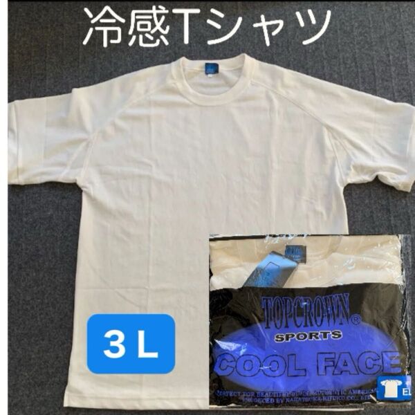 Tシャツ メンズ 半袖 カジュアル ホワイト メッシュEL(3L) ホワイト冷感 中塚被服 TOP crown